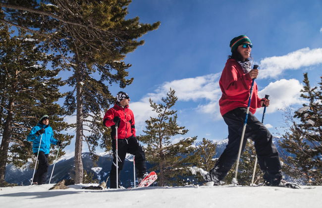 Apartamentos Arinsal 3000 - Foto 8