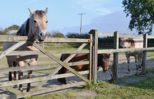 Ty Clyd - Hw7657 - Photo 9