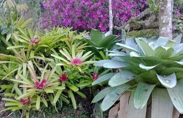 Aldeia Pé da Serra Cabana Natureza - Foto 26