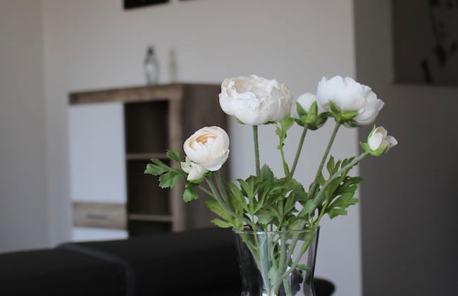 Rezidence Moser Apartments - Foto 34