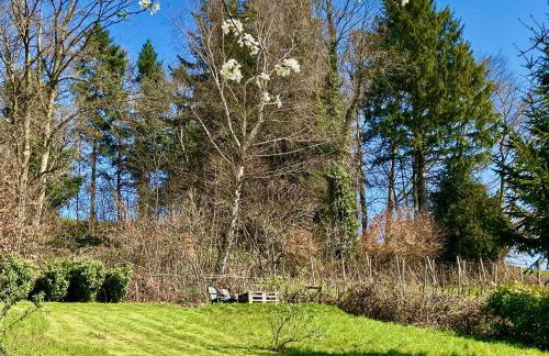 Ferienwohnung Weinberg Idyll 2 - Panoramablick zum Bodensee - Foto 16