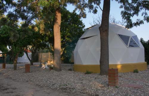 Páteo das Laranjeiras - Foto 40