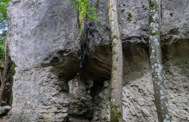 Villa Viola - Foto 30