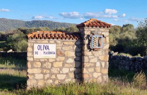 Casa Mauro - Foto 31