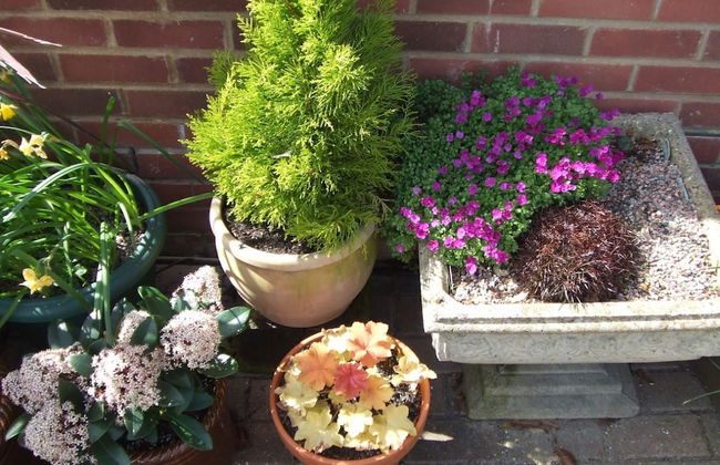 Queens Road Rental - Winchester Accommodation - Foto 32