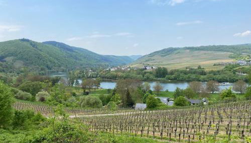 Apartment bei Stenze - Foto 4