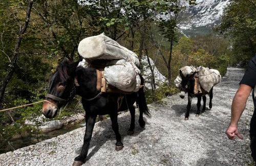 Apartment Mia - Photo 38