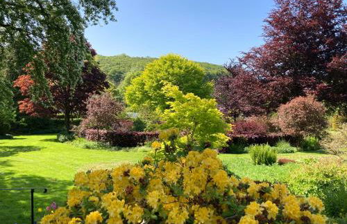 Coedmor Cottages - Foto 72