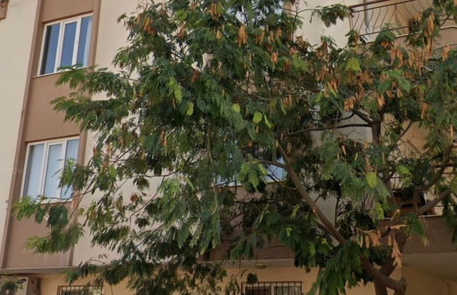 Best View Family Home - Foto 10