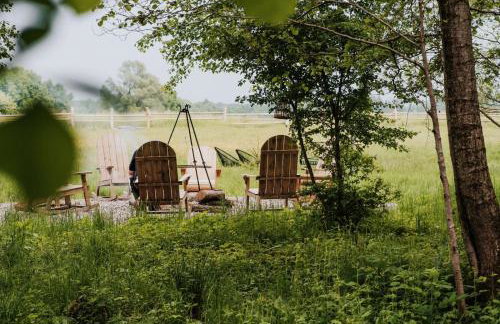 Dziki Las - domki na drzewach - Foto 4