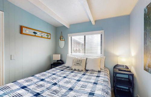 Periwinkle - Foto 12