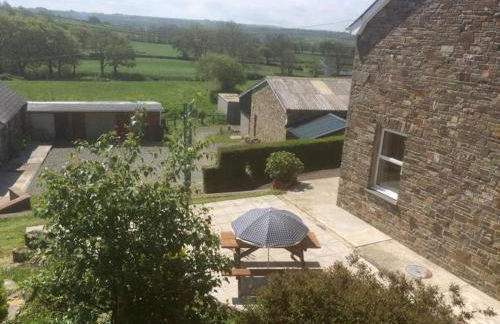 Ffyllon Fawr - Foto 19