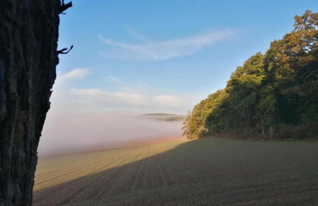 Ferienwohnung in Lowensen mit Eigener Terrasse - Foto 24