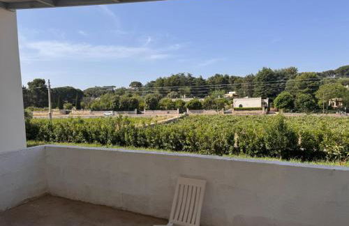 Casa Daniel - Foto 34