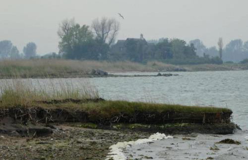 Holiday Home in Kappel Near Forest Edge - Foto 75