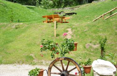 Maso Fior di Bosco - Val di Rabbi - Esercizio Rurale - Foto 31