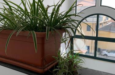 Don Michele Apartments - Photo 27