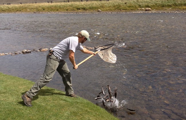 Redwood Cabins - Foto 47