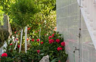 Dina Studios - Photo 50