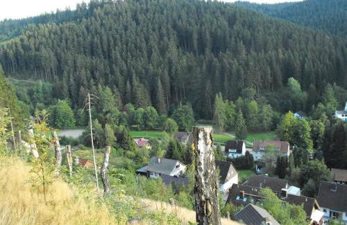 Apartment in Wildemann Near Hahnenklee Ski Area - Foto 23