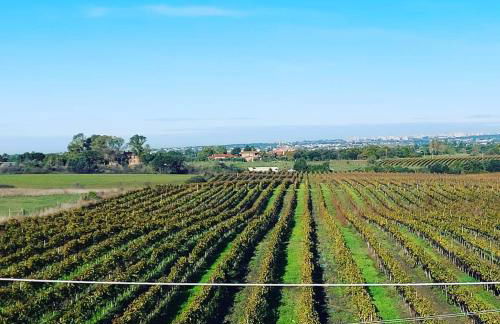 Roxy Alto Belvedere - Foto 14