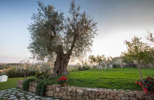 Borgo Sant'Ambrogio - Resort - Photo 152