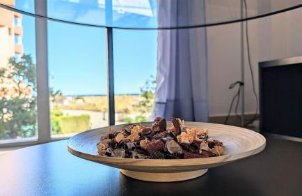 Family Beach Agua Marina - Photo 17