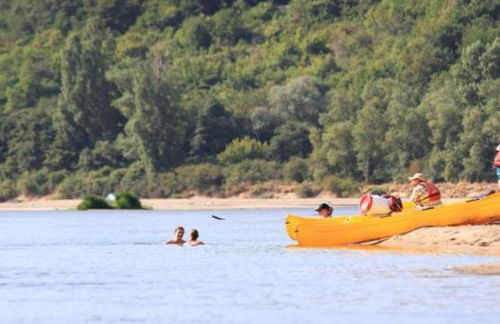 La vigne et la Loire - Foto 11