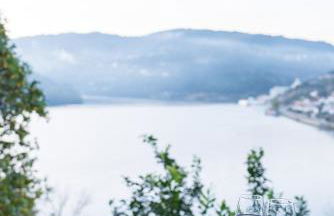 Casa da Torre, Porto Manso - Foto 15