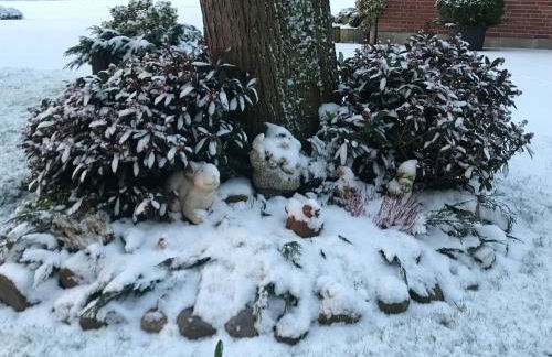 Elbe Ferienwohnung Glückstadt - Foto 32