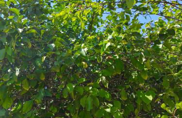 Flya House - Foto 38