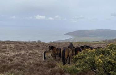 Beautiful Cottage Parking Central Dunster - Photo 36