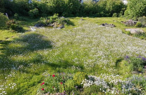 Moderne Ferienwohnung Gartenblick - Foto 16