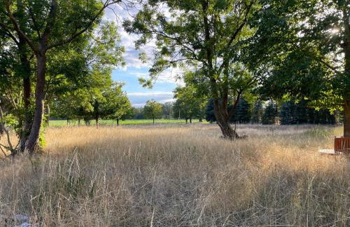 Exclusive Apartments Harpe - Foto 22