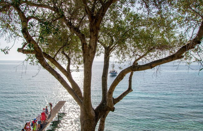 Villa Benele - Foto 70