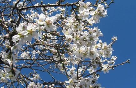 villa fairytale - Foto 76