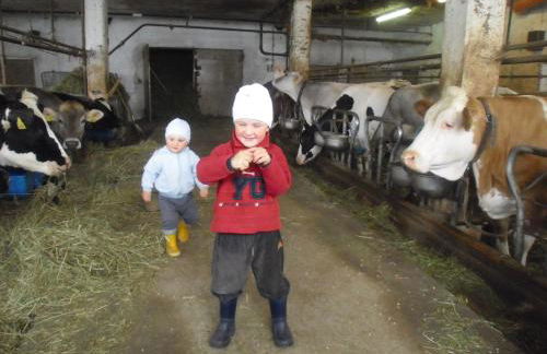 Apartments Dolomites "Mantingerhof" - Photo 32