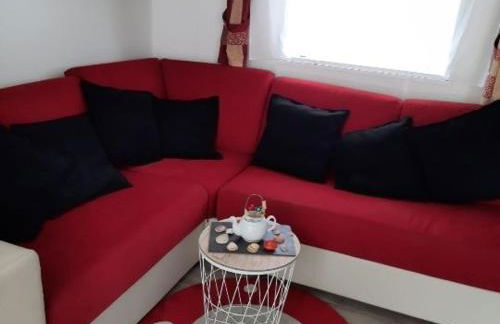 Mobil-home 3 pièces à Dolus-d'Oléron - Capacité 4 personnes - FR-1-246A-120 - Foto 3