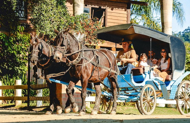 Fazzenda Park Resort - Photo 38