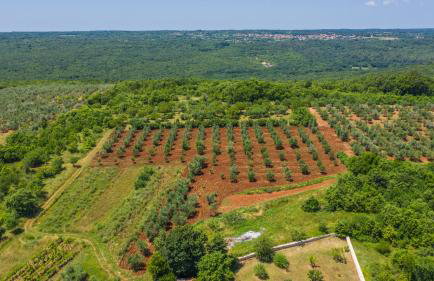 Holiday Home Carla and Dajana - Photo 50