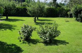 Ferienhaus LeBen - Foto 6