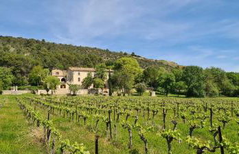 La Bastide de Peyremale, gîtes en Cévennes, piscine, tennis - Foto 16