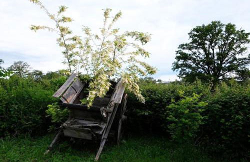 La vie calme - Foto 71