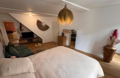 Cocon Jungle Hyper Centre - Foto 6