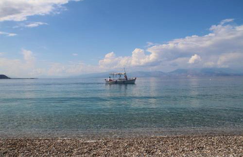 Family Apartment - Foto 37