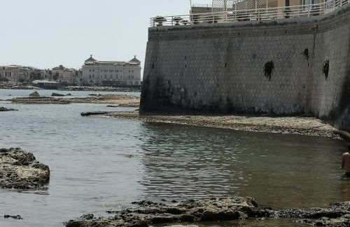 Alla Corte di Dionisio - Foto 51