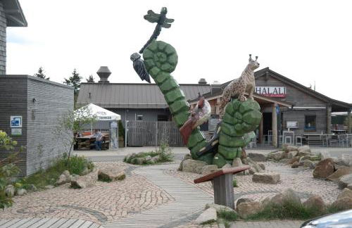 Ferienwohnungen Haus Zeier - Foto 77