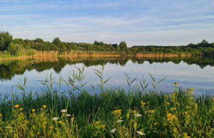 Seevilla Dubai - Luxus Ferienhaus - Foto 63