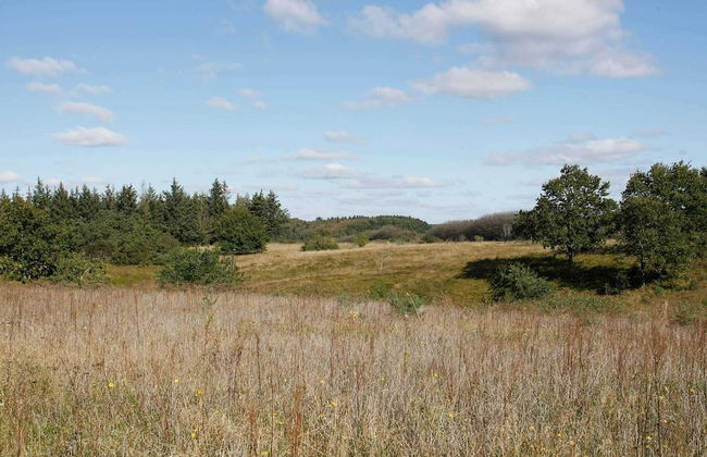 8 Person Holiday Home in Skals - Foto 24