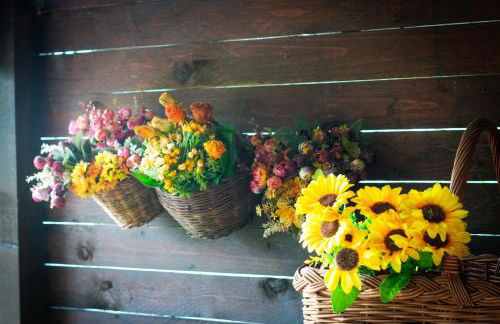 Il Nido di Erin - Photo 40